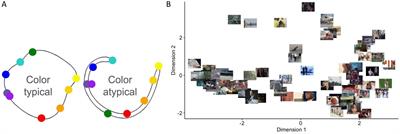 Quantum-like Qualia hypothesis: from quantum cognition to quantum perception